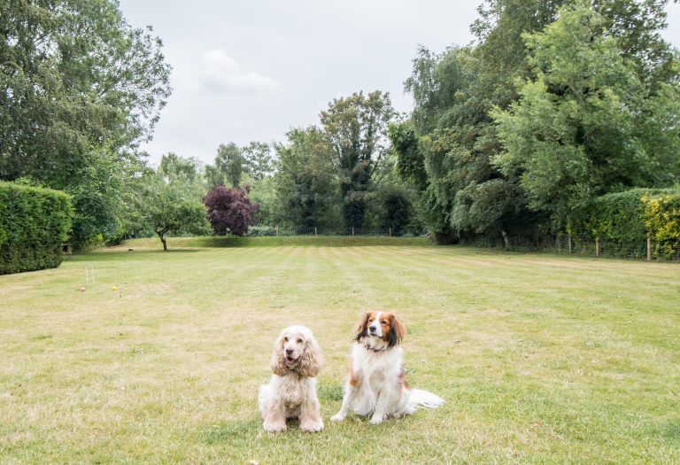 Dog Friendly holiday home and large garden in Norfolk near Burnham Market